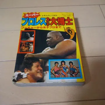 슈퍼 프로레슬링 대백과