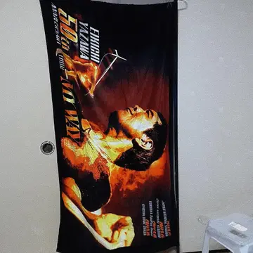 야자와 에이요시 비타월 불꽃 디자인