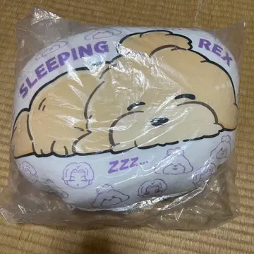 시라하마 아란 쿠션