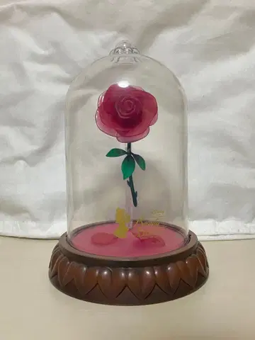장미꽃 유리 돔 포함