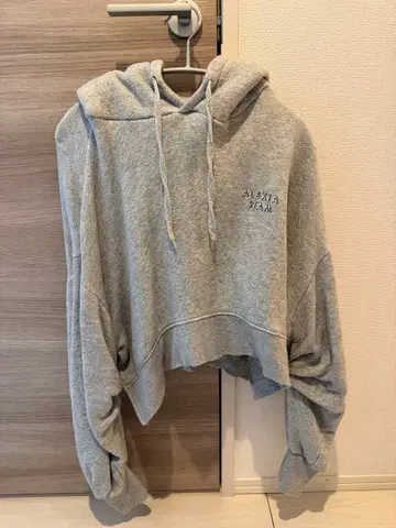 ALEXIA STAM 그레이 크롭 후드티