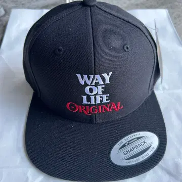 pabst blue ribbon RATS HRCS 랏츠 CAP