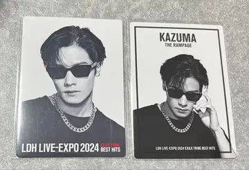 EXPO 카와무라 카즈마 포토 카드 2종 세트 익명 배송