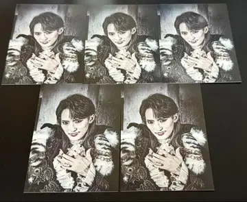 MOUSE PEACE FES 마우피페스 카와시마 노에루 포토 카드 5장