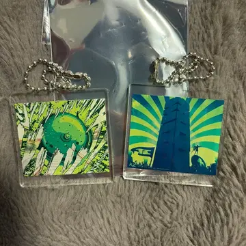 AKB48 아크릴 키링 2개 세트