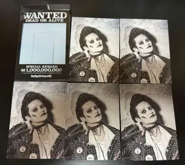 MOUSE PEACE FES 마우피페스 스즈키 유진 포토 카드 5장