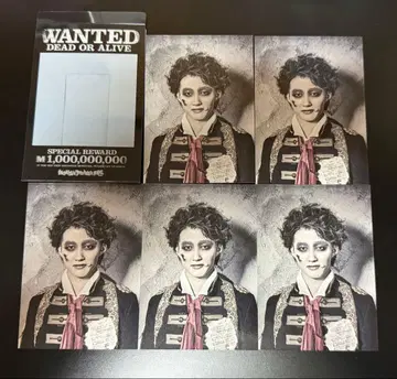 MOUSE PEACE FES 마우피페스 이나바 미치하루 포토 카드 5장