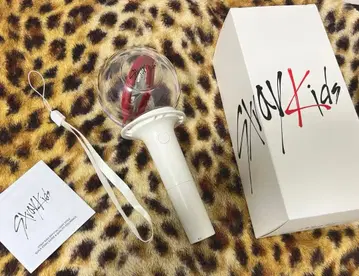 straykids 스키즈 응원봉