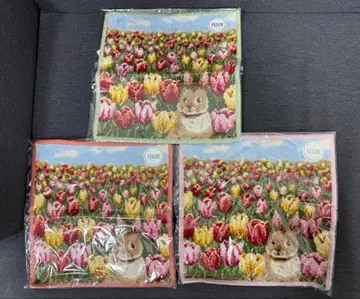 페이러 코스메 주방 튤립 토끼 손수건 3종 세트