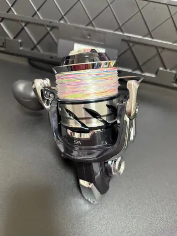 SHIMANO 21 TWIN POWER SW10000PG