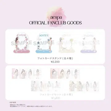 aespa 카리나 윈터 포토카드 스탠드