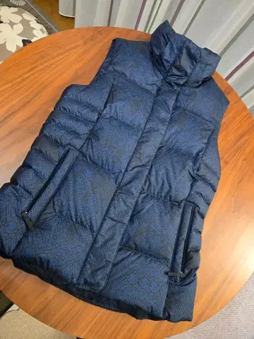 patagonia 파타고니아 여성용 다운 베스트