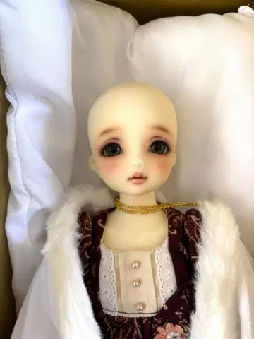 SDM 50번 코디네이트 모델 보크스 슈퍼돌피