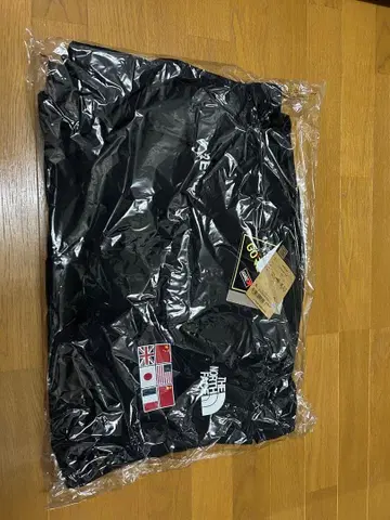 THE NORTH FACE L 블랙