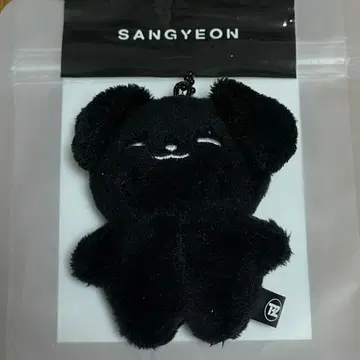 The boyz ZENERATION 미니 인형 봉제 인형 상연