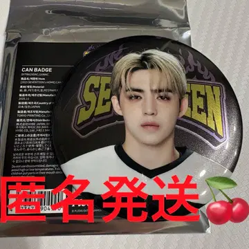 SEVENTEEN 세부치 home 2025 캔뱃지 에스쿱스