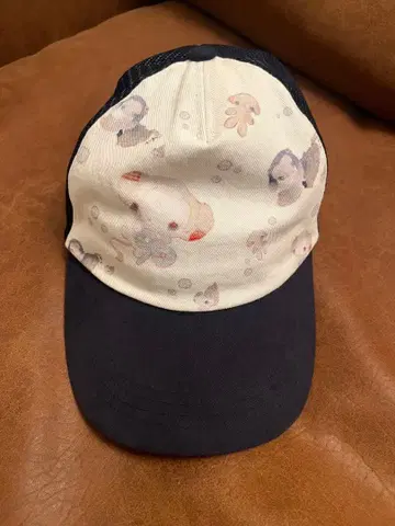 코이세이오 타이니 와이럴 메쉬 캡 네이비