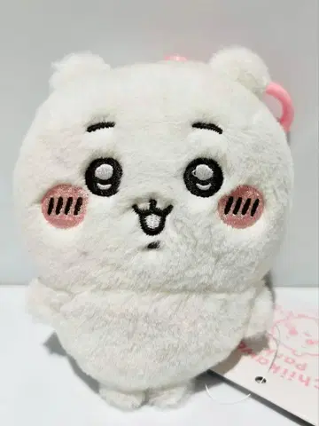 치이카와 (먼작귀)  마스코트 치이카와 파크