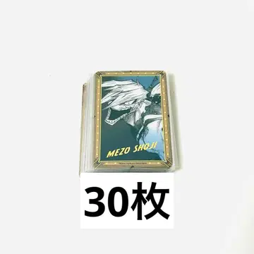 나의 히어로 아카데미아 원화전 금박 클리어 카드 쇼지 메조