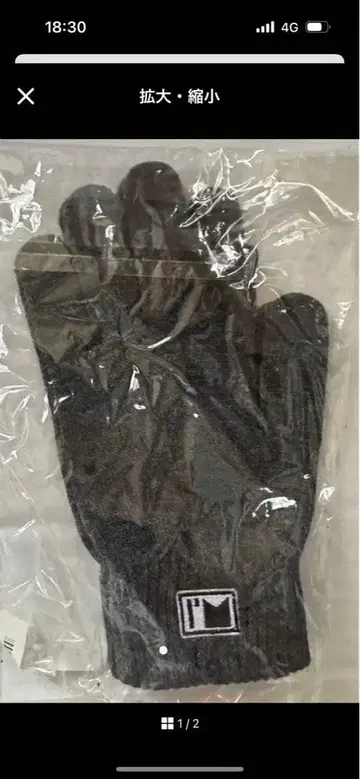 아타에 신지로 I AM WHAT I AM