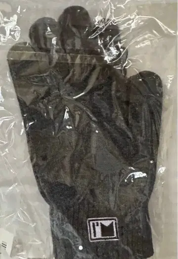 아타에 신지로 I AM WHAT I AM