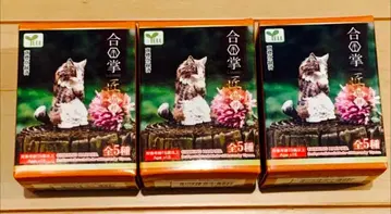 미사용 새상품 상자 미개봉 합장하는 고양이 피규어 3개 세트