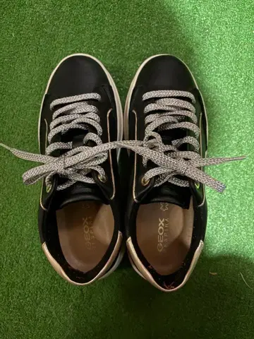 GEOX 제오스 스니커즈 여성용 22.5cm