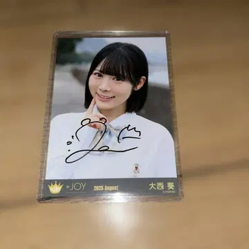 니얼 조이 오오니시 아오이 브로마이드 친필 사인 요리