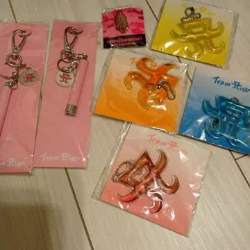 하마사키 아유미 님 굿즈 익명 배송!