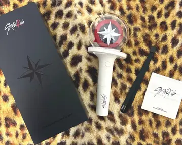 straykids 스키즈 응원봉 ver.2