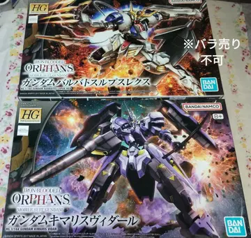 HG 키마리스 비다르 바르바도스 루푸스 렉스