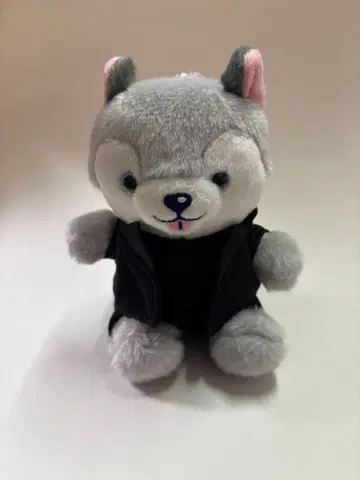 노킹 온 락드 도어 좌식 봉제 인형 토리이 이누