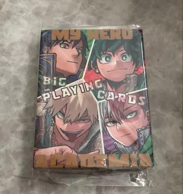 히로아카 BIG 카드놀이