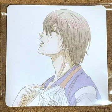 후지 슈스케 코스터