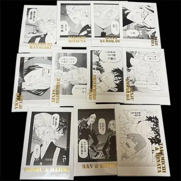 도리베 파샤코레 묶음 판매 신체험전