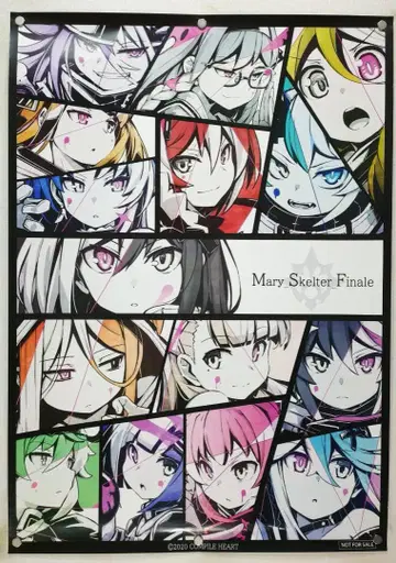 메아리스켈터 Finale B2 포스터