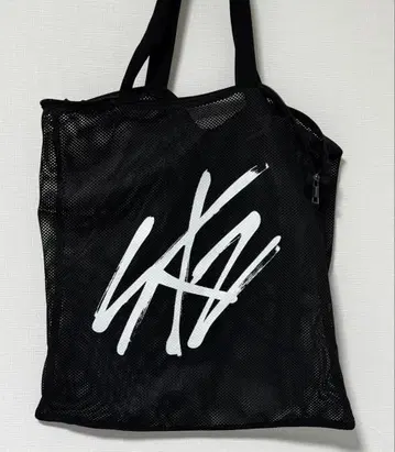 스키즈 StrayKids 메쉬 토트백 5star 돔 투어