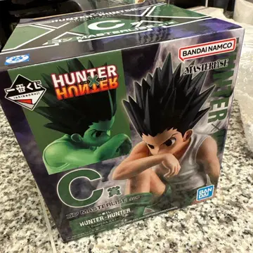 HUNTER x HUNTER MASTERLISE 곤 C상