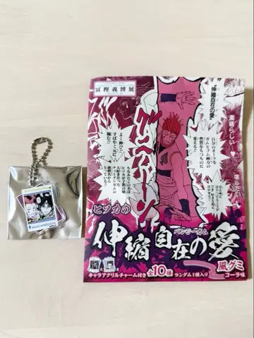 헌터헌터 토가시 요시히로전 아크릴 참 히소카 클로로 번지검