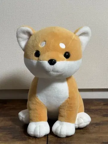 시바견 봉제 인형 중형 브라운 화이트