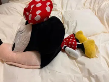 배송비 할인 기간 한정 가격. 디즈니 팬캡 미니