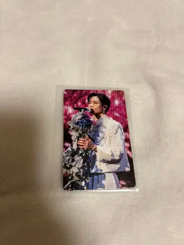 카와무라 카즈마 트레이딩 카드