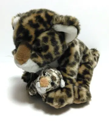 레오파드 AURORA 클래식 레오파드 애니멀 동물 오로라 클래식