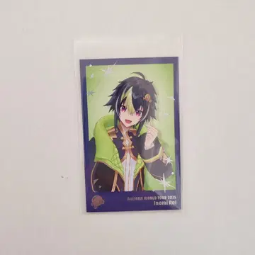 WORLD TOUR 2025 고베 폴라로이드풍 카드 세트 이나미 라이
