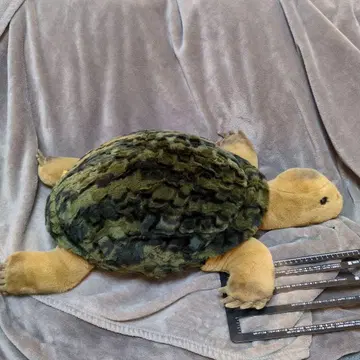 슈타이프 봉제 인형 거북이 솔로 70cm