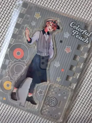 컬러풀 피치 아크릴 스탠드 우리 씨 다이너