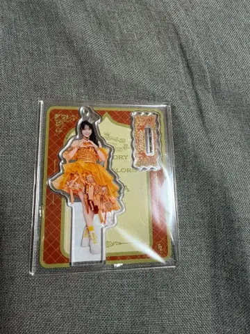 진세이 스즈카 2024 가을 Tour 아스크타