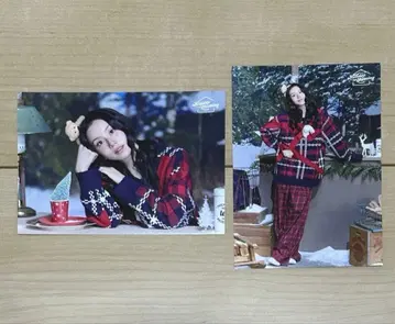 TWICE POPUP 2025 겨울 랜덤 포토카드 채영