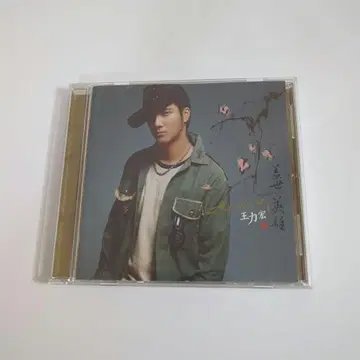 왕 리훙 / 히어로즈 오브 어스 왕리훙/개세영웅