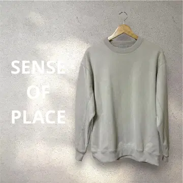 [ SENSE OF PLACE ] 스웨이드라이크 크루넥 맨투맨